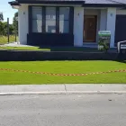 Business 8 image BRIZSCAPES Landscaping & Landscape Design in Brendale QLD