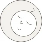 Business 6 image BUBBAROO Platinum Joey Swag Baby Sleeping bags in Nedlands WA