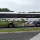 Business 1 image BUS CHARTER SERVICES Bus & Coach Charter Service in Brisbane QLD