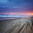 Business 3 image BUSHWACKER ECOTOURS & MORETON BAY ESCAPES Adventure Tours & Holidays in Brisbane QLD