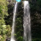 Business 1 image BUSHWACKER ECOTOURS & MORETON BAY ESCAPES Adventure Tours & Holidays in Brisbane QLD