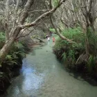 Business 2 image BUSHWACKER ECOTOURS & MORETON BAY ESCAPES Adventure Tours & Holidays in Brisbane QLD