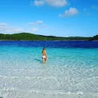 Business 6 image BUSHWACKER ECOTOURS & MORETON BAY ESCAPES Adventure Tours & Holidays in Brisbane QLD