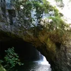 Business 7 image BUSHWACKER ECOTOURS & MORETON BAY ESCAPES Adventure Tours & Holidays in Brisbane QLD