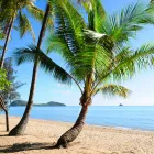 Business 1 image CAIRNS DISCOVERY TOURS Tours in Cairns QLD