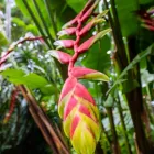 Business 5 image CAIRNS DISCOVERY TOURS Tours in Cairns QLD