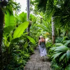 Business 6 image CAIRNS DISCOVERY TOURS Tours in Cairns QLD