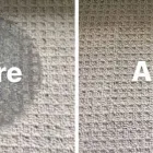 Business 2 image CARPET CLEANING ARANA HILLS Carpet Cleaning & Protection in Arana Hills QLD