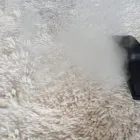 Business 3 image CARPET CLEANING BULIMBA Commercial & Industrial Cleaning Services in Bulimba QLD