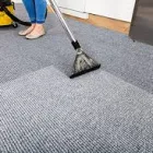 Business 1 image CARPET CLEANING BULIMBA Commercial & Industrial Cleaning Services in Bulimba QLD