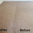 Business 1 image CARPET CLEANING COOGEE Carpet Cleaning & Protection in Coogee NSW