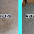 Business 3 image CARPET CLEANING DANDENONG Carpet Cleaning & Protection in Dandenong VIC