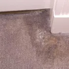 Business 2 image CARPET CLEANING EAST FREMANTLE Carpet Cleaning & Protection in East Fremantle WA