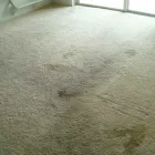 Business 1 image CARPET CLEANING EAST FREMANTLE Carpet Cleaning & Protection in East Fremantle WA