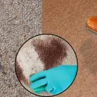 Business 1 image CARPET CLEANING GILLES PLAINS Home Cleaning in Gilles Plains SA