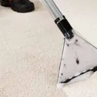 Business 2 image CARPET CLEANING GILLES PLAINS Home Cleaning in Gilles Plains SA