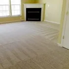 Business 1 image CARPET CLEANING GLENELG Pest Control in Glenelg SA