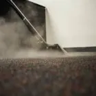 Business 2 image CARPET CLEANING GLENELG Pest Control in Glenelg SA