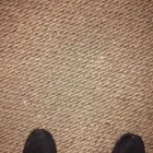 Business 3 image CARPET CLEANING GRIFFITH Carpet Cleaning & Protection in Griffith NSW
