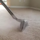 Business 1 image CARPET CLEANING MANLY Home Cleaning in Manly East NSW