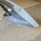 Business 4 image CARPET CLEANING MANLY Home Cleaning in Manly East NSW