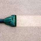 Business 3 image CARPET CLEANING NEUTRAL BAY Pest Control in Neutral Bay NSW