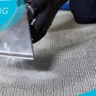 Business 2 image CARPET CLEANING SWANBOURNE Carpet Cleaning & Protection in Swanbourne WA