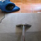 Business 2 image CARPET CLEANING SYDNEY Carpet Cleaning & Protection in Sydney NSW