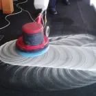 Business 3 image CARPET CLEANING SYDNEY Carpet Cleaning & Protection in Sydney NSW