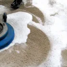 Business 6 image CARPET CLEANING SYDNEY Carpet Cleaning & Protection in Sydney NSW
