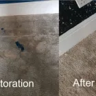 Business 3 image CARPET REPAIR BRISBANE Home Cleaning in Brisbane QLD