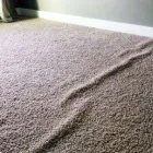Business 4 image CARPET REPAIR BRISBANE Home Cleaning in Brisbane QLD