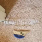 Business 1 image CARPET REPAIR BRISBANE Commercial & Industrial Cleaning Services in Brisbane QLD
