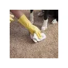 Business 1 image CARPET STEAM CLEANING TOOWOOMBA Carpet Cleaning & Protection in Toowoomba QLD