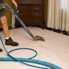 Business 3 image CARPET TECHNIQUE Vinyl Planks in Melbourne VIC