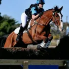 Business 2 image CASTLEFIN EQUESTRIAN Sports Equipment, Goods & Repairs in Woori Yallock VIC