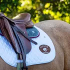 Business 3 image CASTLEFIN EQUESTRIAN Sports Equipment, Goods & Repairs in Woori Yallock VIC