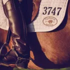 Business 9 image CASTLEFIN EQUESTRIAN Sports Equipment, Goods & Repairs in Woori Yallock VIC