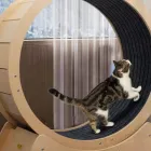 Business 2 image CAT WHEEL AUSTRALIA Business & Professional Organisations in Sydney NSW