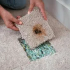 Business 3 image CBD CARPET REPAIR Repair Services in Melbourne VIC