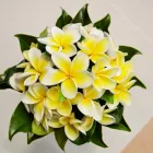 Business 8 image CENTENNIAL FLORIST & GIFT BASKETS ADELAIDE Wedding Flowers in Adelaide SA