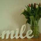 Business 2 image CHATSWOOD DENTAL CENTRE Dentist in Sydney NSW