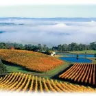 Business 4 image CHEVY CONVERTIBLES / TOP DOWN TOURS Winery in Melbourne VIC