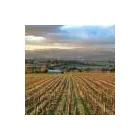Business 10 image CHEVY CONVERTIBLES / TOP DOWN TOURS Winery in Melbourne VIC