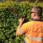 Business 1 image CHIP OFF THE OLD BLOCK Tree & Stump Removal Services in Balmoral QLD