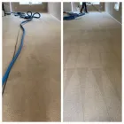Business 4 image CITY CARPET CLEANING MELBOURNE Same Day Carpet Cleaning in Melbourne VIC