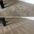 Business 5 image CITY CARPET CLEANING MELBOURNE Same Day Carpet Cleaning in Melbourne VIC