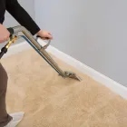 Business 1 image CITY CARPET CLEANING NORTH SYDNEY Carpet Furniture & Upholstery Cleaning in North Sydney NSW