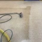 Business 4 image CITY CARPET CLEANING NORTH SYDNEY Carpet Furniture & Upholstery Cleaning in North Sydney NSW