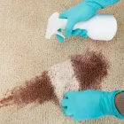 Business 9 image CITY CARPET CLEANING NORTH SYDNEY Carpet Furniture & Upholstery Cleaning in North Sydney NSW
